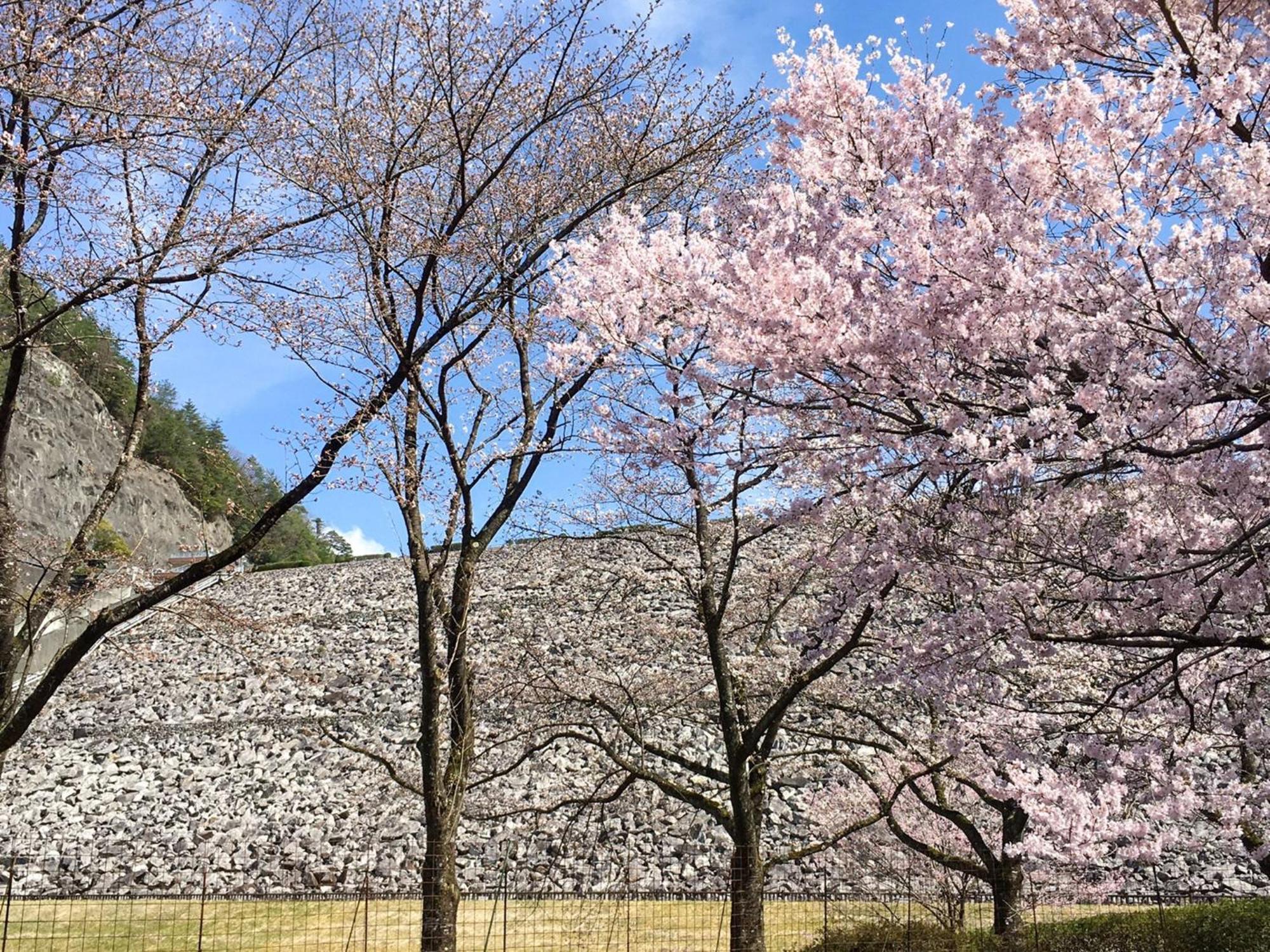 Hatake No Oyado - Vacation Stay 74494V Takeda エクステリア 写真